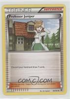 Professor Juniper