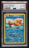 Buizel [PSA 8 NM‑MT]