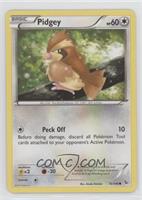 Pidgey