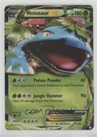 Holo - Venusaur EX