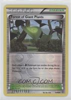 Forest of Giant Plants