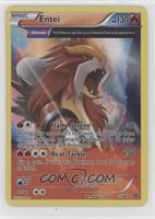 Entei [EX to NM]