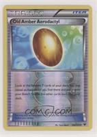 Old Amber Aerodactyl