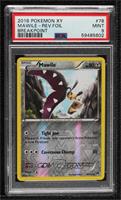 Mawile [PSA 9 MINT]