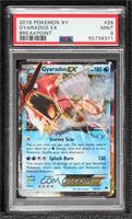 Gyarados EX [PSA 9 MINT]