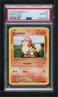 Growlithe [PSA 10 GEM MT]