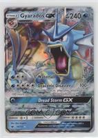 Gyarados GX (Full Art) [EX to NM]