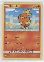 Torchic