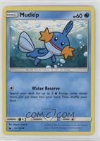 Mudkip [EX to NM]