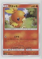 Torchic