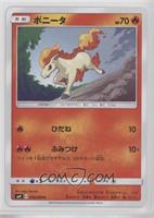 Ponyta