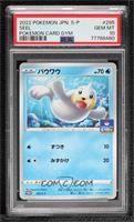 Seel (Pokemon Gym Card) [PSA 10 GEM MT]