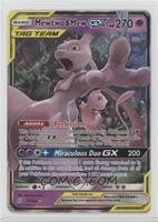 Mewtwo & Mew GX