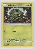 Caterpie