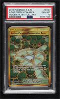 Secret - Aether Paradise Conservation Area [PSA 10 GEM MT]