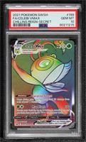 Secret - Celebi VMAX [PSA 10 GEM MT]