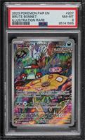 Illustration Rare - Brute Bonnet [PSA 8 NM‑MT]