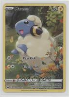 Full Art - Mareep