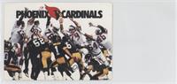 Phoenix Cardinals