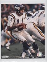 Joe Kapp