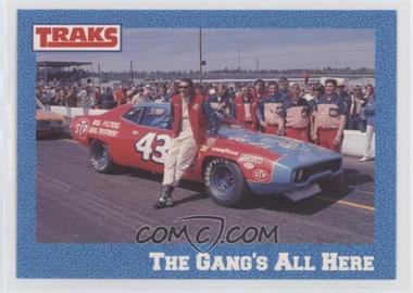 1991 Traks Richard Petty - [Base] #6 - Richard Petty