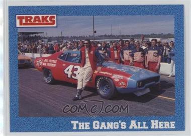 1991 Traks Richard Petty - [Base] #6 - Richard Petty