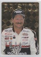 Winner - Dale Earnhardt