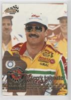 Race Winners - Terry Labonte