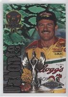 Terry Labonte