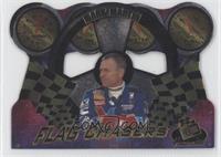 Mark Martin