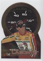 Terry Labonte