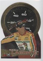 Terry Labonte