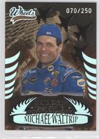 Michael Waltrip #/250