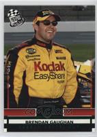 Brendan Gaughan