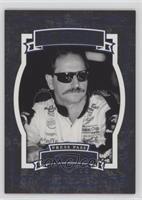 Icons - Dale Earnhardt #/599