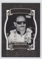 Icons - Dale Earnhardt #/299