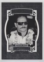 Icons - Dale Earnhardt