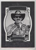 Icons - Richard Petty