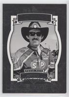 Icons - Richard Petty