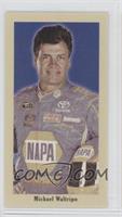 Michael Waltrip