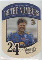 Michael Waltrip