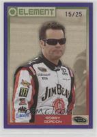 Robby Gordon #/25