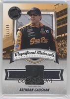 Brendan Gaughan #/199