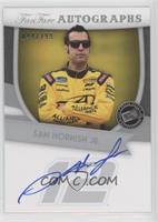 Sam Hornish Jr. #/299