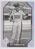 Dale Earnhardt Jr. #/99