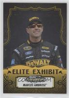 Elite Exhibit - Marcos Ambrose #/99