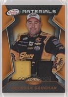 Brendan Gaughan #/199