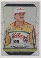 Variation - Terry Labonte