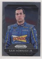 Sam Hornish Jr.