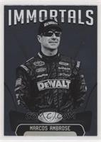 Immortals - Marcos Ambrose